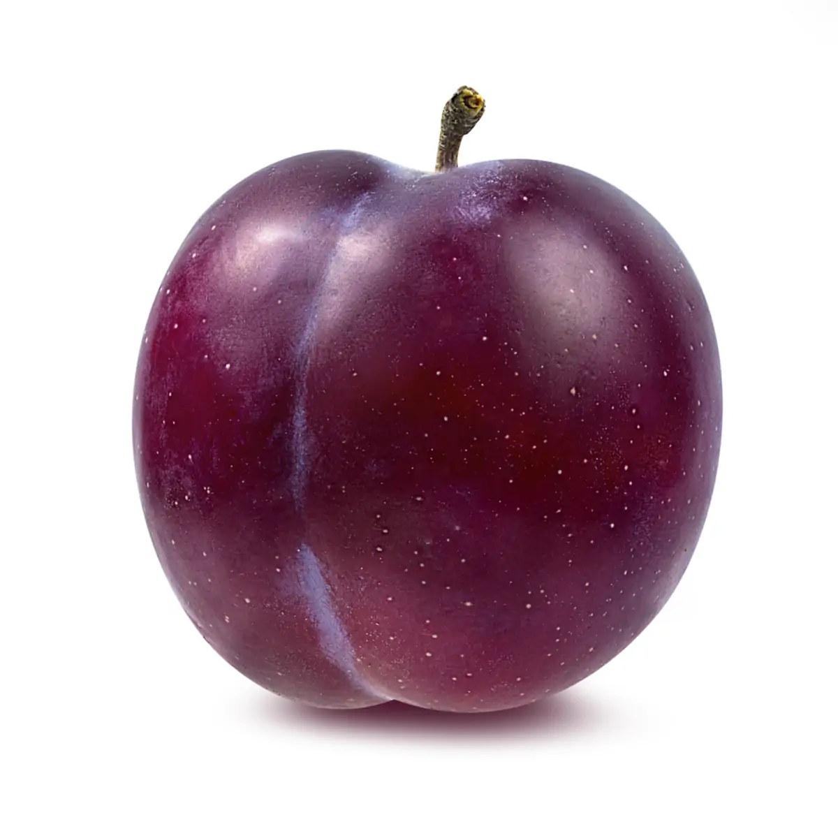Plum